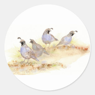 Watercolor California Quail Classic Round Sticker