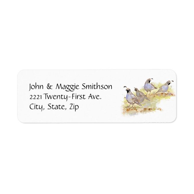 Watercolor California Quail State Bird Nature art (Front)