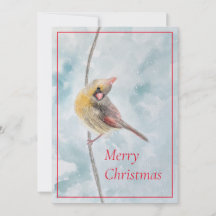 watercolor cardinal in snow Christmas card