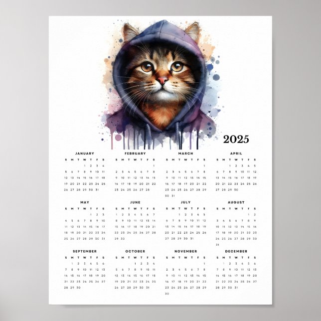 Watercolor Cat in Hoodie Splash Art 2025 Calendar Poster (Front)