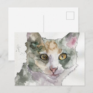 Watercolor Cat Postcard