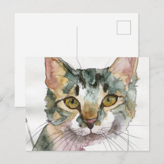 Watercolor Cat Postcard