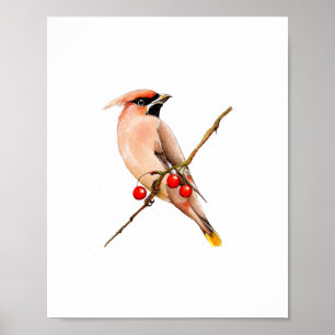 Watercolor Cedar Waxwing Bird Painting Poster