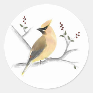 Watercolor Cedar Waxwing Stickers