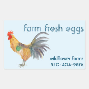 Watercolor Chicken Eggs for Sale CUSTOM Product  Sticker