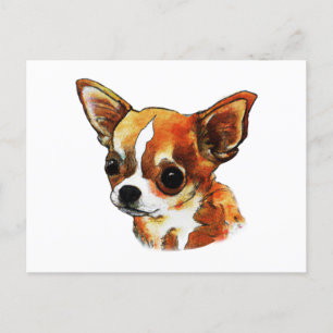 Watercolor Chihuahua Postcard
