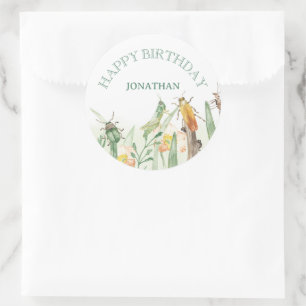Watercolor Child's Bug Insect Birthday Classic Round Sticker