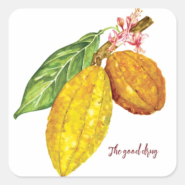 Watercolor chocolate tree fruit square sticker (Front)