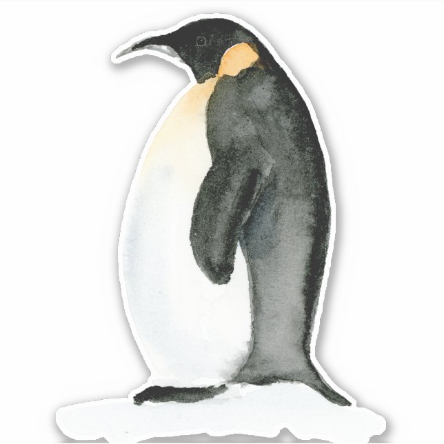 Watercolor Chubby Penguin - Vinyl Cut Sticker (Front)