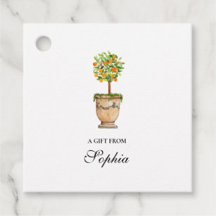 Watercolor Citrus tree topiary gift Tags