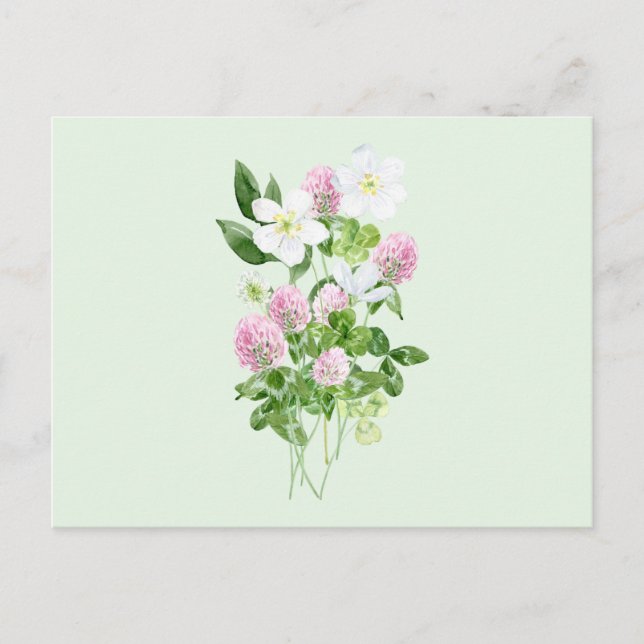 Watercolor Clover Flowers and Leaves Composition  Holiday Postcard (Front)
