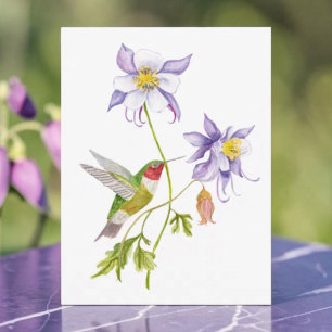 Watercolor Columbine with Hummingbird  Postcard