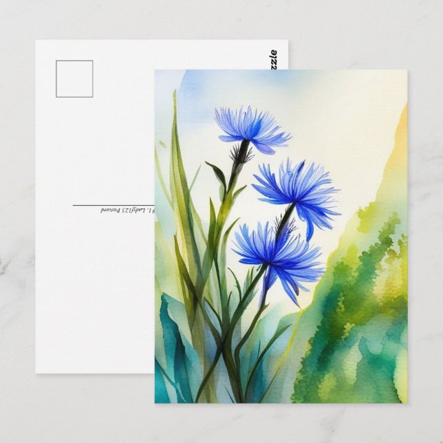 Watercolor Cornflower, Postcrossing  Postcard (Front/Back)