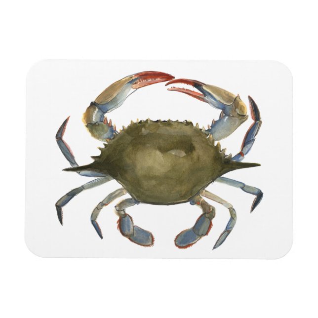 Watercolor Crab - Grey Magnet (Horizontal)
