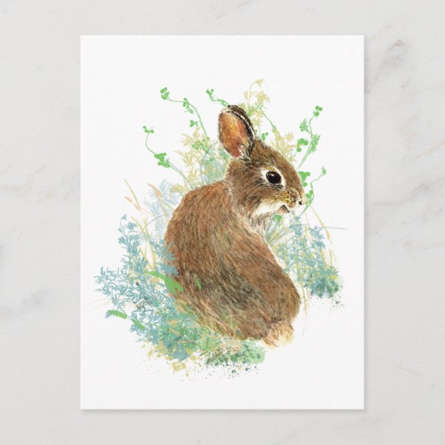 Watercolor Cute Bunny Rabbit Animal art Postcard (Front)