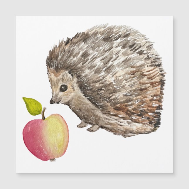Watercolor cute hedgehog and apple (Front)