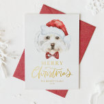 Watercolor Cute Maltese Santa Merry Christmas Foil Holiday Card<br><div class="desc">Merry Christmas! Send your holiday wishes to family and friends with this customizable Christmas card. It features a watercolor Maltese dog wearing a Santa hat. Personalize this gold foil Christmas card by adding your details. This Maltese dog Christmas card is available on other cardstock. Matching items are available.</div>