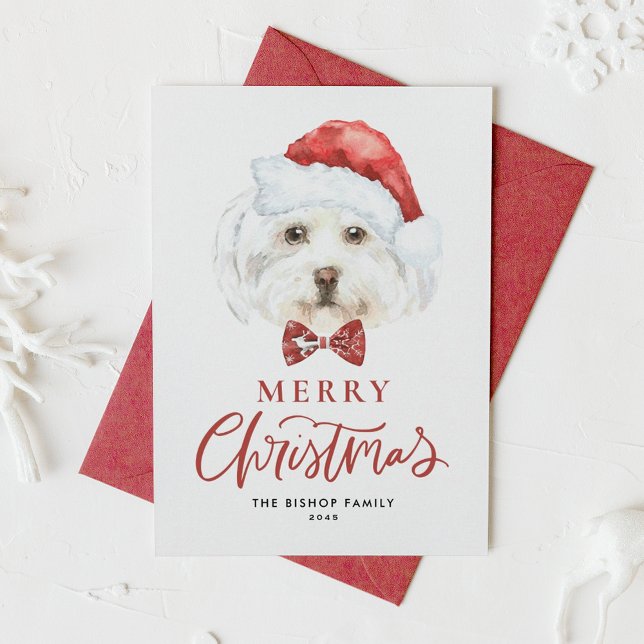 Watercolor Cute Maltese Santa Merry Christmas Holiday Card (Creator Uploaded)