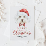 Watercolor Cute Maltese Santa Merry Christmas Holiday Postcard<br><div class="desc">Merry Christmas! Send your holiday wishes to family and friends with this customizable Christmas postcard. It features a watercolor Maltese dog wearing a Santa hat. Personalize this dog Christmas postcard by adding your details. This Maltese dog Christmas card is available on other cardstock. Matching items are available.</div>