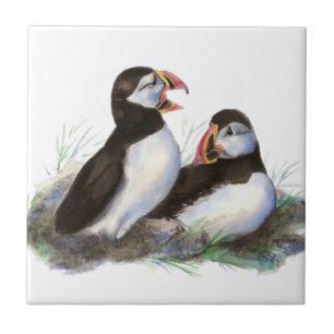 Watercolor Cute Puffin Bird Art Tile