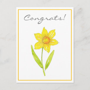 Watercolor Daffodil 2 Postcard