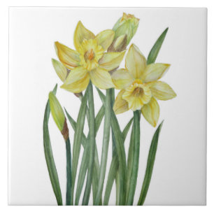Watercolor Daffodils Flower Portrait Illustration Tile