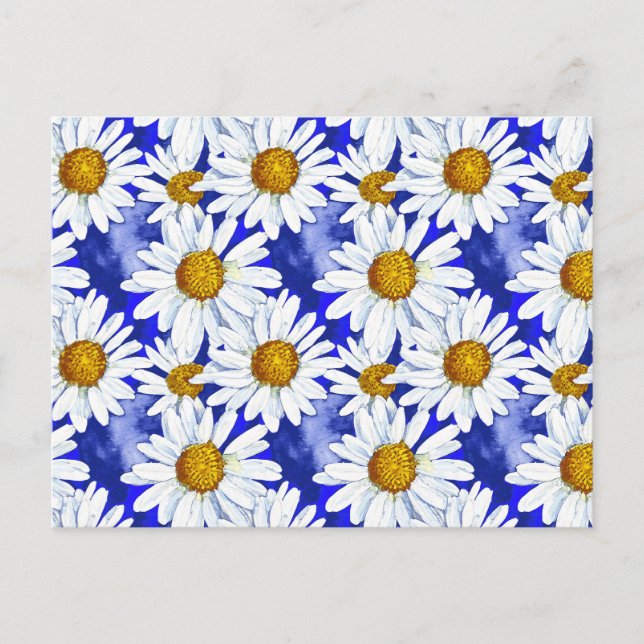 Watercolor Daisies on Denim Blue Postcard (Front)