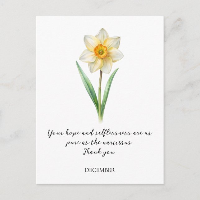WATERCOLOR DECEMBER NARCISUSS BIRTH FLOWER POSTCARD (Front)