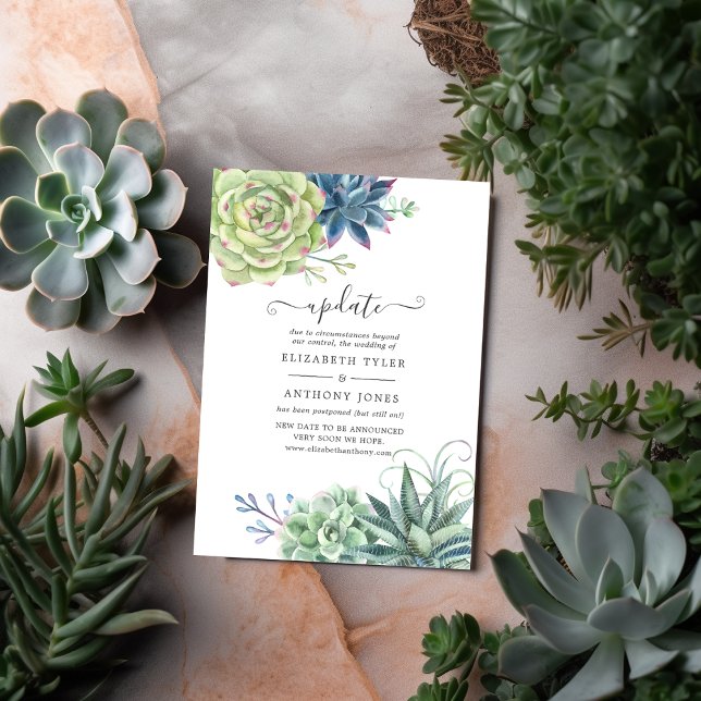 Watercolor Desert Cactus Succulents Wedding Update Invitation (Creator Uploaded)