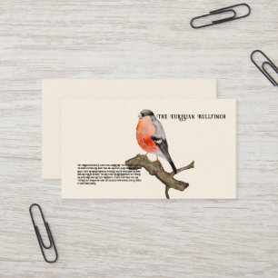 Watercolor design forest bird bullfinch business card