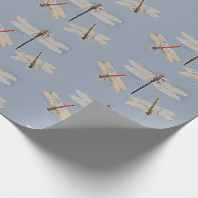 Watercolor dragonflies illustration on pale blue wrapping paper (Corner)