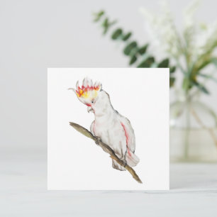 Watercolor drawing of a cockatoo parrot