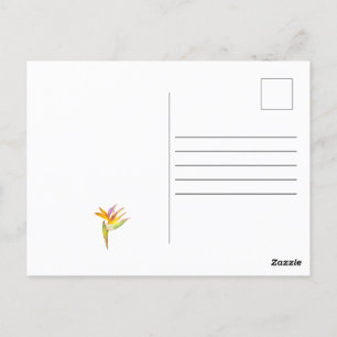 Watercolor drawing of a cockatoo parrot postcard