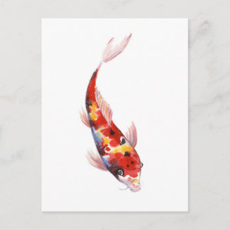 Watercolor drawing of Koi Carp Postcard