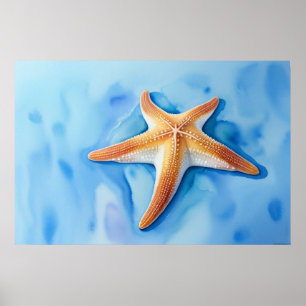 Watercolor Drawing of Starfish Poster