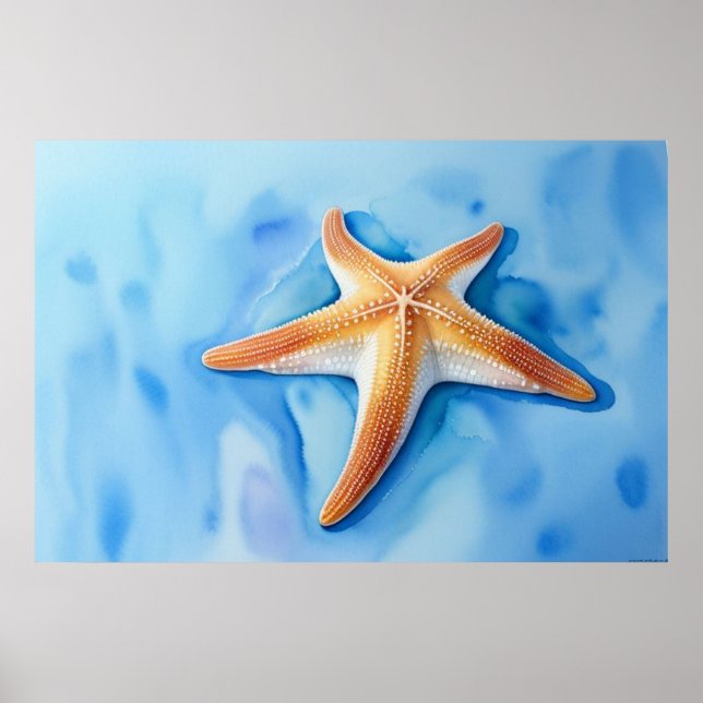 Watercolor Drawing of Starfish Poster (Front)