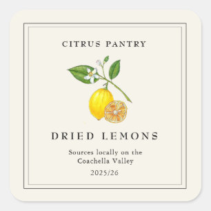 Watercolor Dried Lemon slices Square Sticker