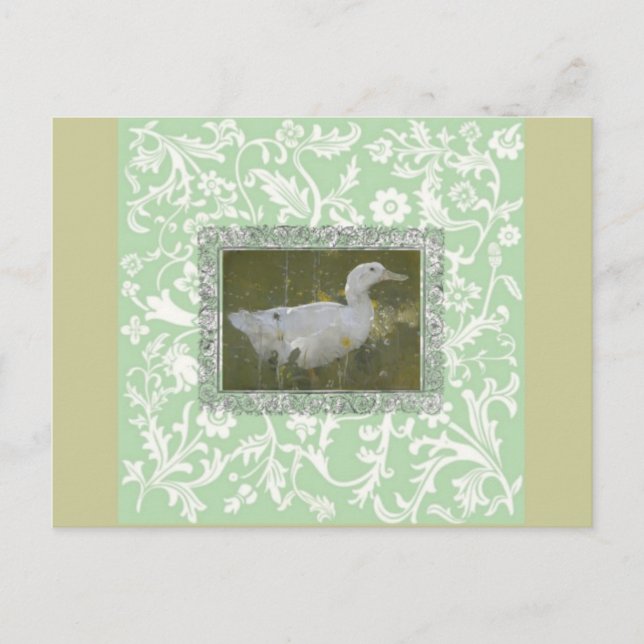 Watercolor Duck Postcard (Front)