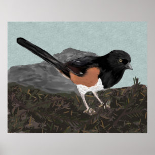 Watercolor Eastern Towhee Poster Print