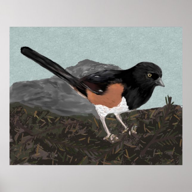 Watercolor Eastern Towhee Poster Print (Front)