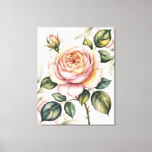 Watercolor english rose