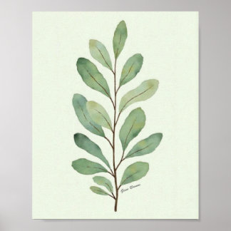 Watercolor Eucalyptus Branch Botanical Poster