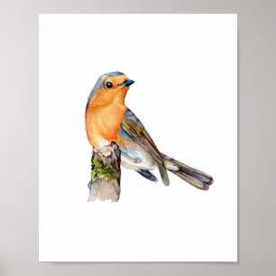 Watercolor European Robin Bird Painting Poster