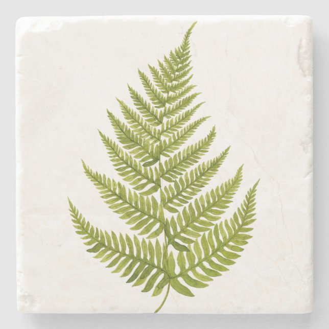 Watercolor Fern Pattern Stone Coaster (Front)