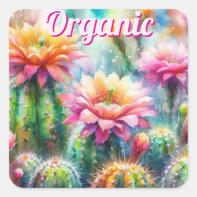 Watercolor Flowering Succulent Cacti Square Sticker (Front)