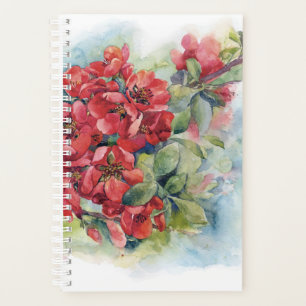 Watercolor flowers red apple quince bloom  illustr planner