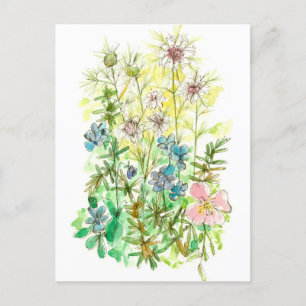 Watercolor Flowers Spring Garden Nigella Viola Postcard
