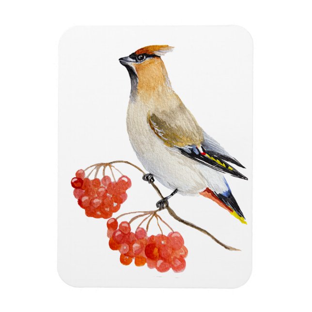 Watercolor forest bird waxwing magnet (Vertical)