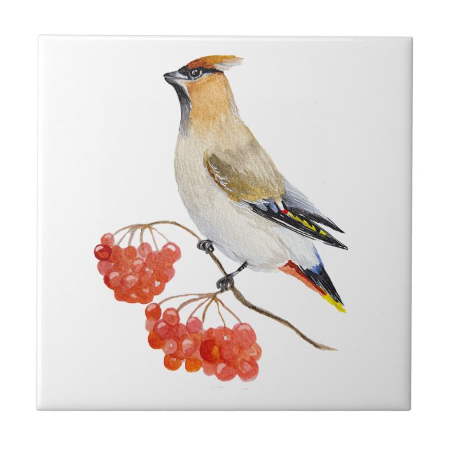 Watercolor forest bird waxwing tile (Front)