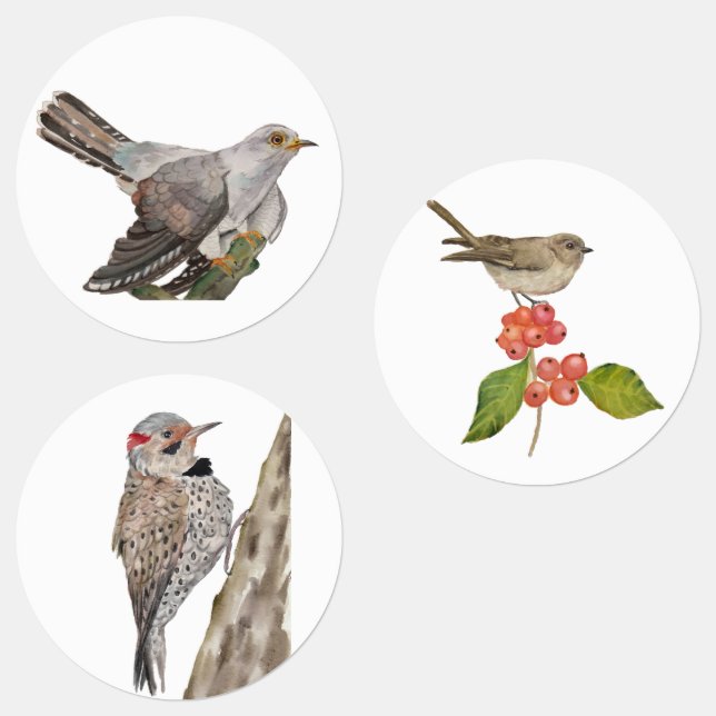 Watercolor forest birds (Group)